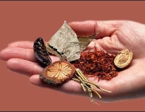Herbal Consultation, phone or email, 30 min.