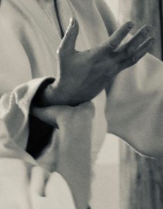 Read more about the article An Aikido Origin Story